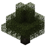 Гикори (TerraFirmaCraft).png